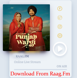 Unknown Punjab Wargi
