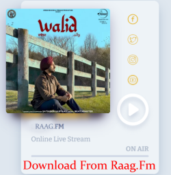 Unknown Walid