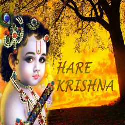 Unknown Hare Krishna