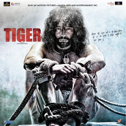 Unknown Tiger
