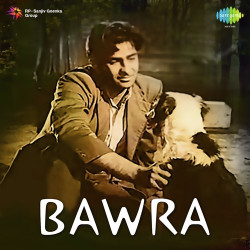 Unknown Bawra