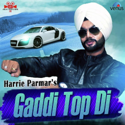 Unknown Gaddi Top Di