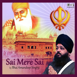 Unknown Sai Mere Sai