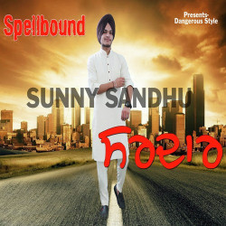 Unknown Spellbound Sardar