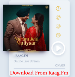 Punjabi-Singles Unknown