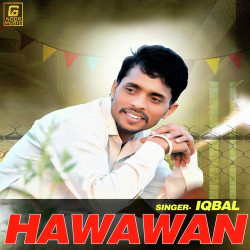 Unknown Hawawan