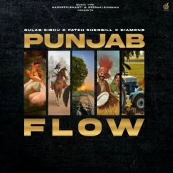Unknown Punjab Flow