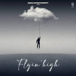 Unknown Flyin High