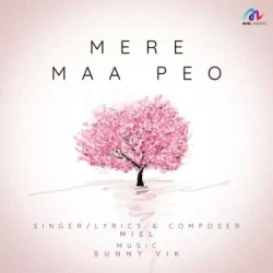 Punjabi-Singles Unknown