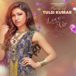 Unknown Best Of Tulsi Kumar: Love Is In The Air - Romantic Hits