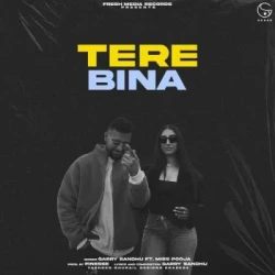 Unknown Tere Bina