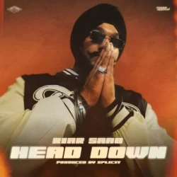 Unknown Head Down
