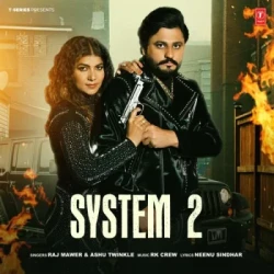 Unknown System 2