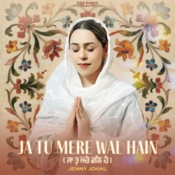 Unknown Ja Tu Mere Wal Hain