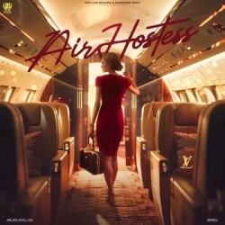 Unknown Air Hostess