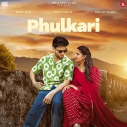 Unknown Phulkari