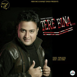 Unknown Tere Bina