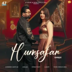 Unknown Humsafar