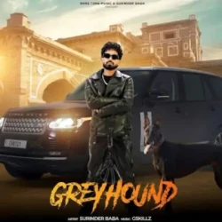 Unknown Greyhound