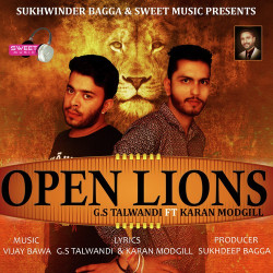 Punjabi-Singles Unknown