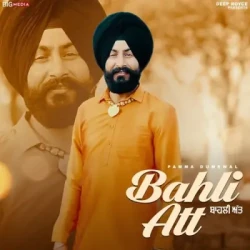 Punjabi-Singles Unknown