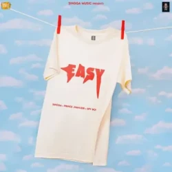 Unknown Easy