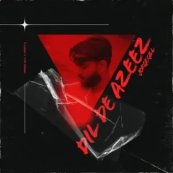 Unknown Dil De Azeez