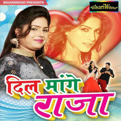 Unknown Dil Mange Raja