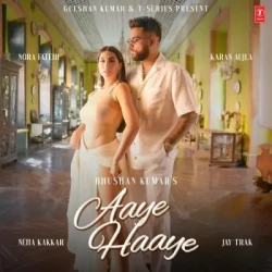 Unknown Aaye Haaye