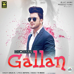 Unknown Dil Diyan Gallan