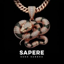 Unknown Sapere