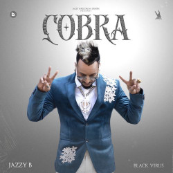 Unknown Cobra