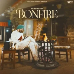 Unknown Bonfire