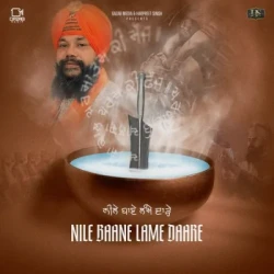 Unknown Nile Baane Lame Daare