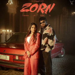 Unknown Zorn (Zamana Oh Reha Ni)