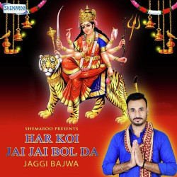 Unknown Har Koi Jai Jai Bol Da