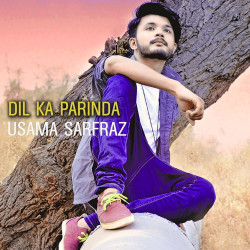 Unknown Dil Ka Parinda