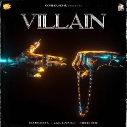 Unknown Villain
