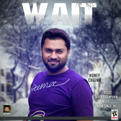 Punjabi-Singles Unknown