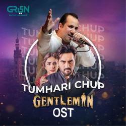 Unknown Tumhari Chup (From Gentleman)