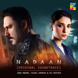 Unknown Nadaan (Original Soundtrack)