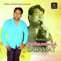 Unknown Voice Of Mohammad Salamat