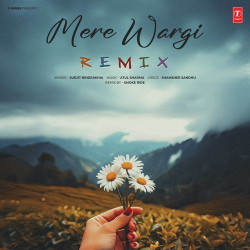 Punjabi-Singles Unknown