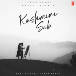 Unknown Kashmiri Seb