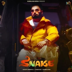 Unknown Snake