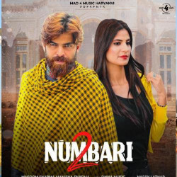 Unknown 2 Numbari