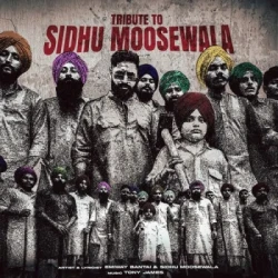 Punjabi-Singles Unknown