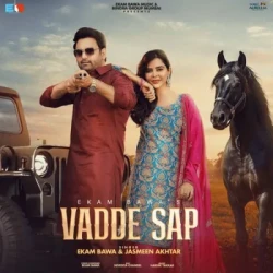 Unknown Vadde Sap