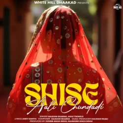 Unknown Shise Aali Chundadi