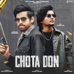 Unknown Chota Don